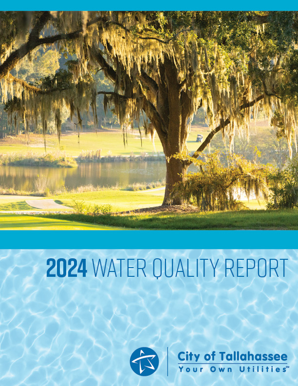 Water Quality Report