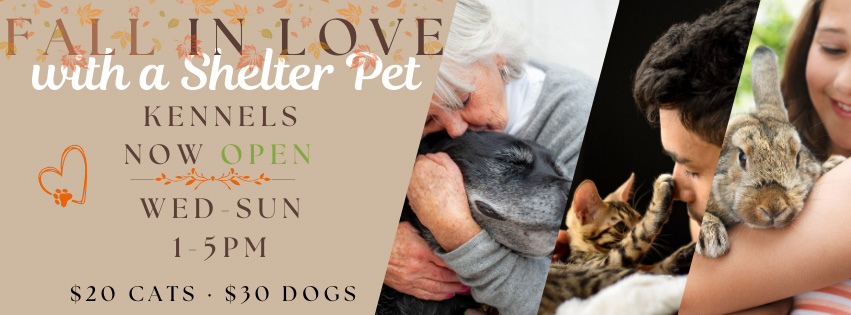 Fall In Love with a Shelter Pet - Kennels now open Wednesday - Sunday, 1:00 - 5:00pm