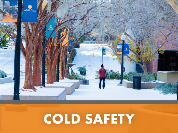 Cold Weather Safety